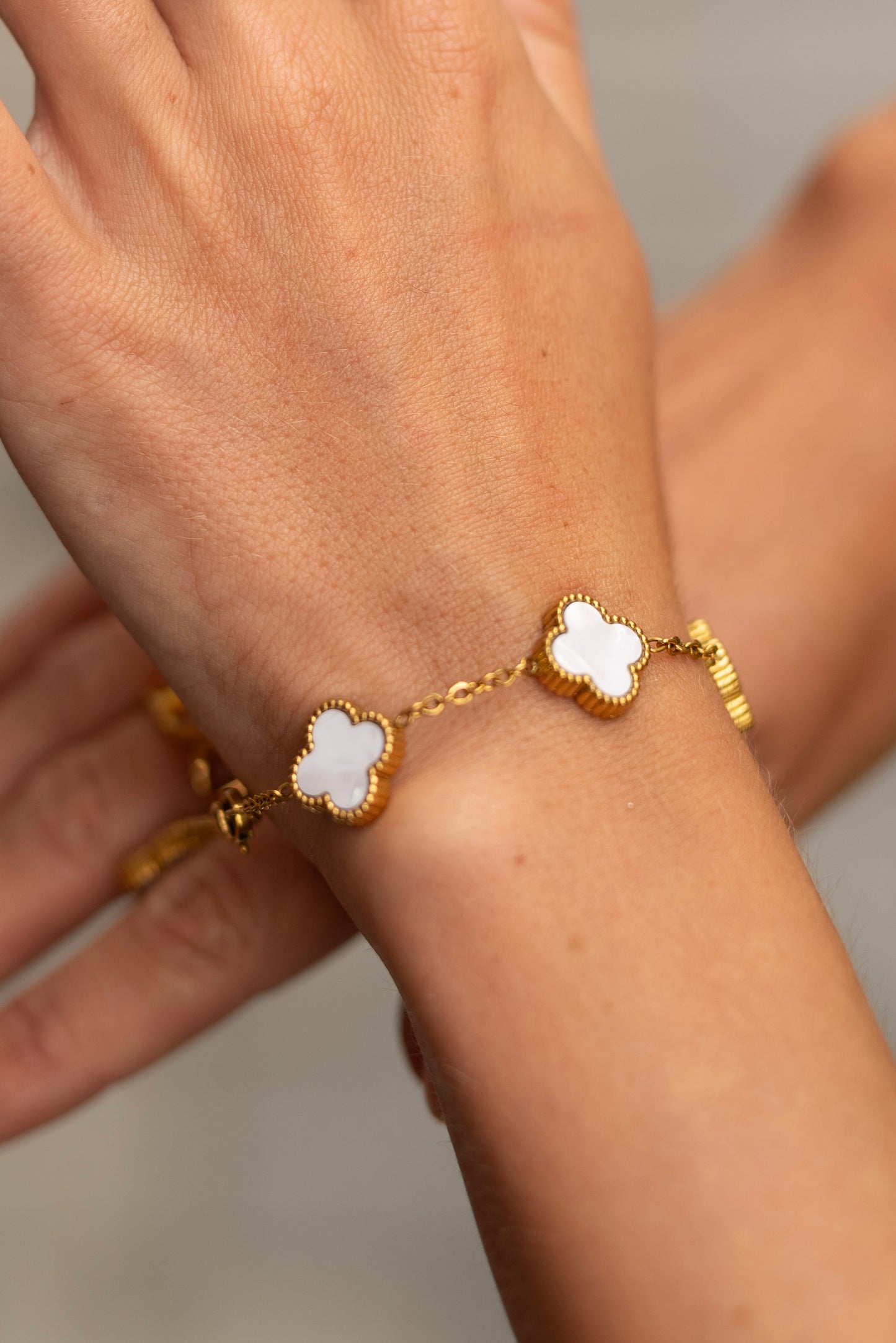 Klaver armband wit