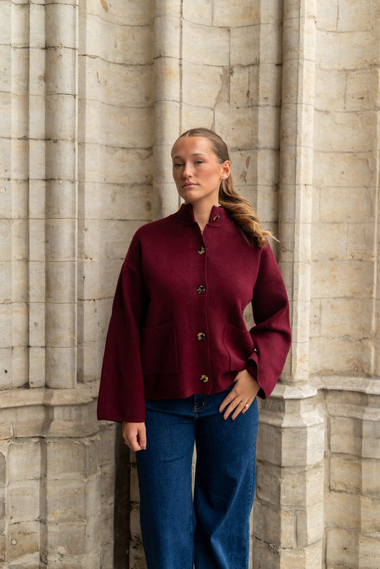 Bordeaux vest