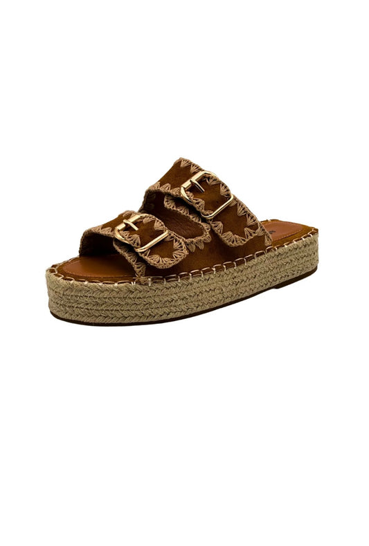 Camel insteker