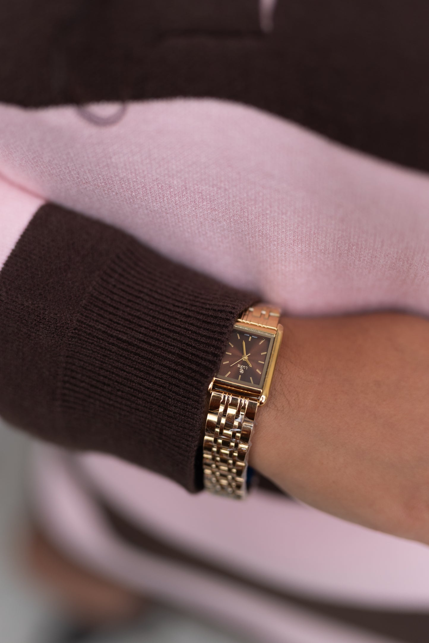 Gold watch brown